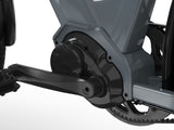 JOBOBIKE Luxe Smart Urban Bicicletta Elettrica JOBOBIKE