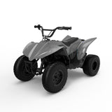 PAONAGO TC-DQ500 Moto Elettrica Bambini 500W PAONAGO