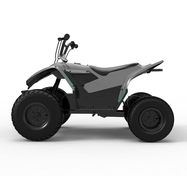 PAONAGO TC-DQ500 Moto Elettrica Bambini 500W PAONAGO