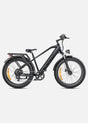 ENGWE E26 Bicicletta Elettrica - ottobest.it