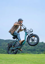 ENGWE L20 Boost Bicicletta Elettrica - ottobest.it