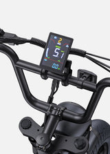 ENGWE M1 Bicicletta Elettrica - ottobest.it