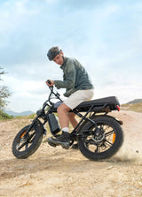 ENGWE M1 Bicicletta Elettrica - ottobest.it