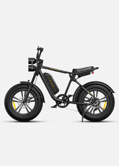 ENGWE M20 Bicicletta Elettrica - ottobest.it