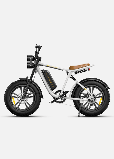 ENGWE M20 Bicicletta Elettrica - ottobest.it