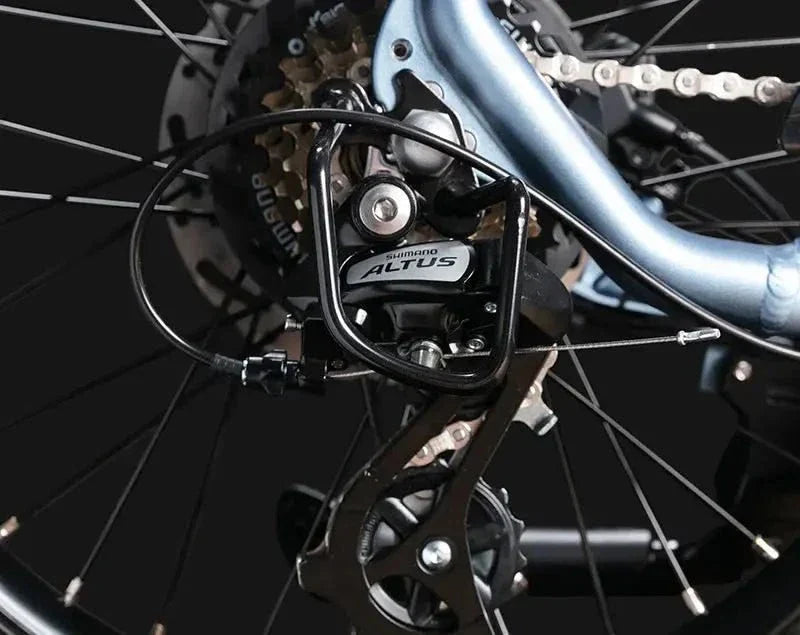 JOBOBIKE ACE Bicicletta Elettrica - ottobest.it